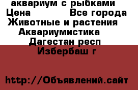 аквариум с рыбками › Цена ­ 1 000 - Все города Животные и растения » Аквариумистика   . Дагестан респ.,Избербаш г.